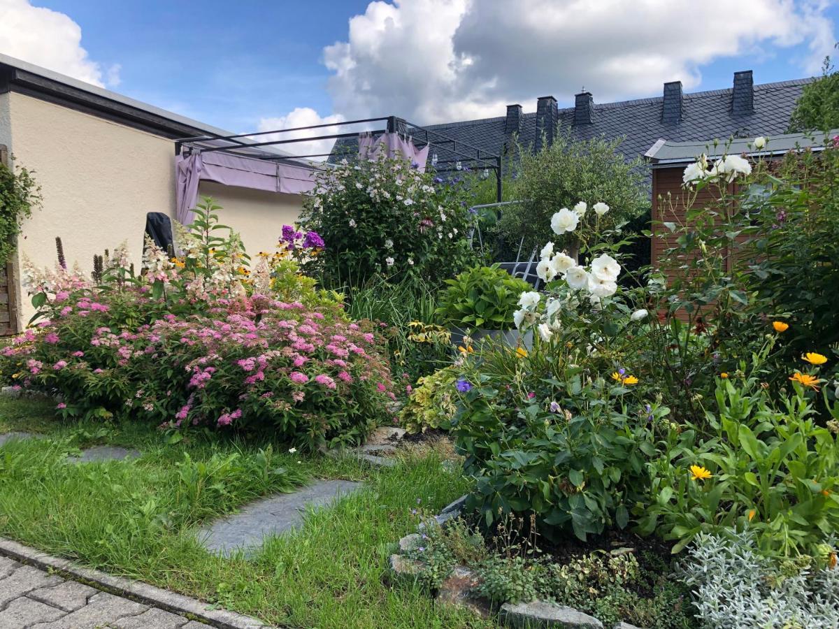 Am Duerrenbachtal Appartement Klingenthal Buitenkant foto