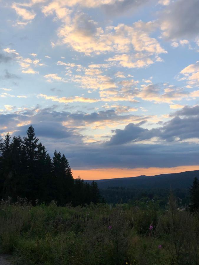 Am Duerrenbachtal Appartement Klingenthal Buitenkant foto