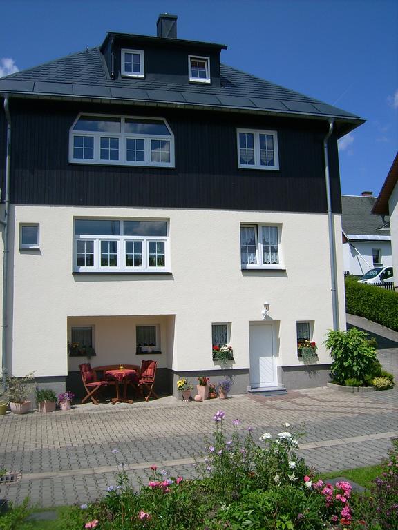 Am Duerrenbachtal Appartement Klingenthal Buitenkant foto