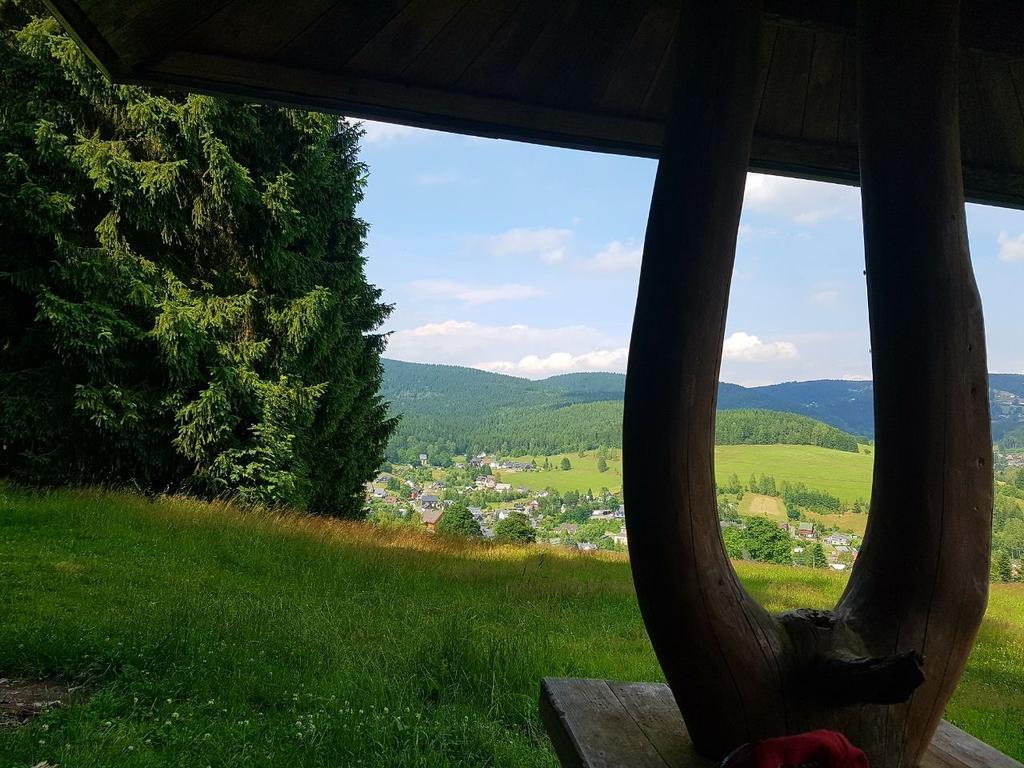 Am Duerrenbachtal Appartement Klingenthal Buitenkant foto